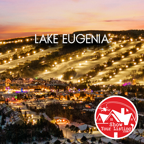 Stunning aerial view of Lake Eugenia, showcasing its recreational offerings and vibrant scenery, perfect for real estate photography and media to attract vacation home buyers.